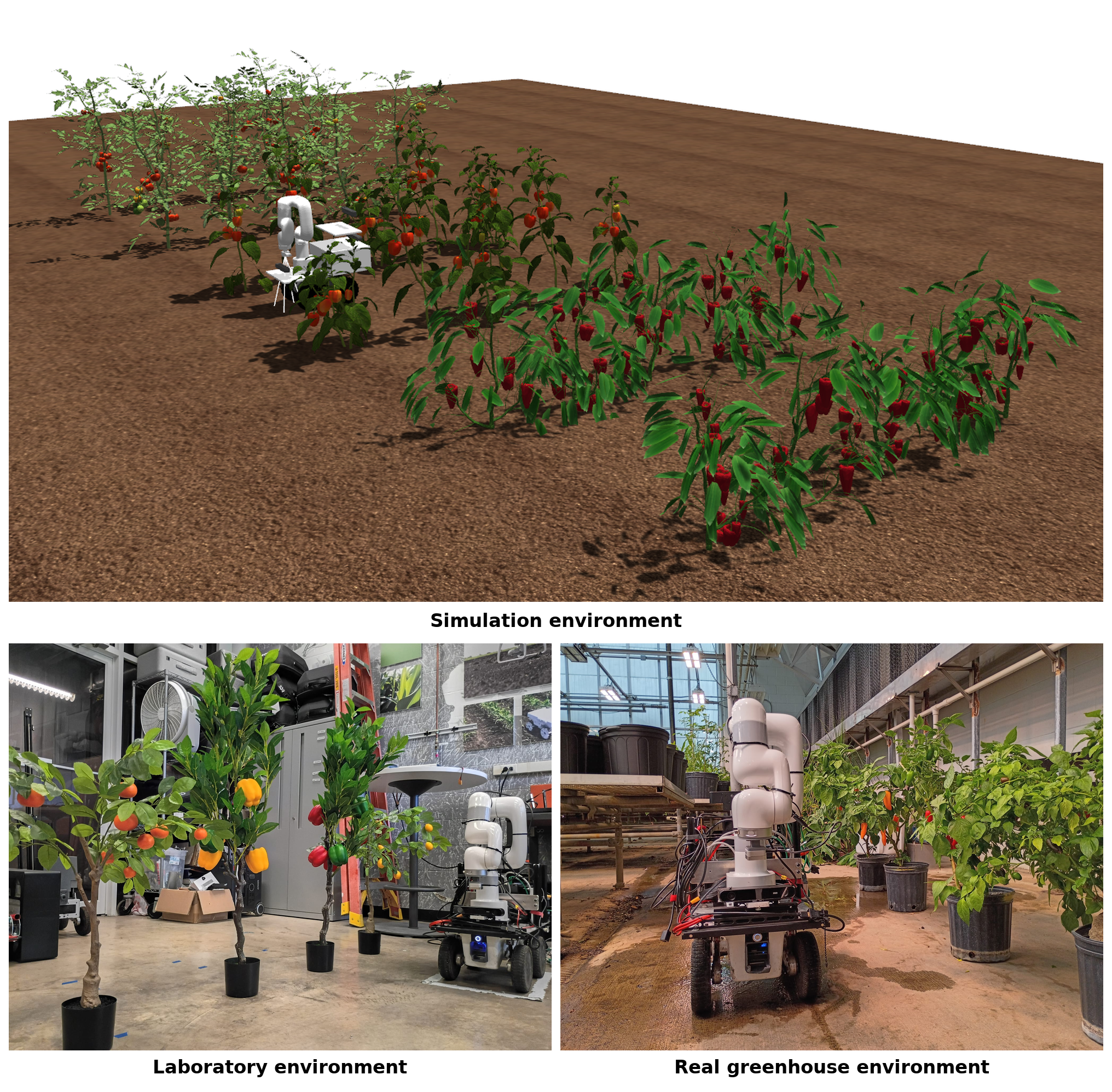 Simulation, laboratory, and real greenhouse environments, along with our simulated and physical mobile manipulator